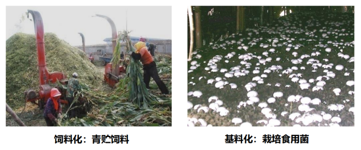63ba07eaced6dedd59602976c0cb987c.png