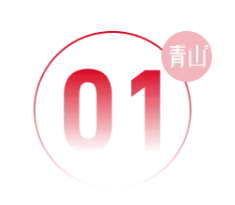 1733755035200187 image.png